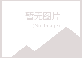 烟台晓夏出版有限公司